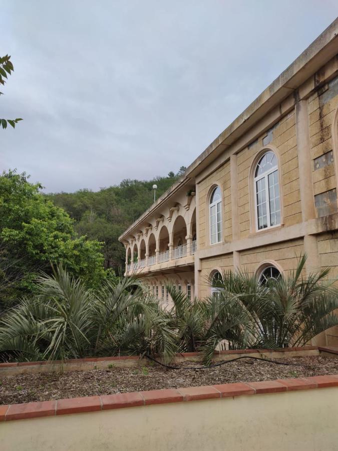 Joli Studio Du Vallespir Amélie-les-Bains-Palalda Exterior photo